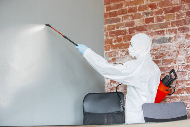 Best Mold-Related Health Consultation  in , NV