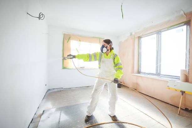 Best Black Mold Removal  in , NV