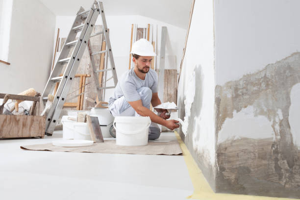 Best Mold Damage Restoration  in , NV