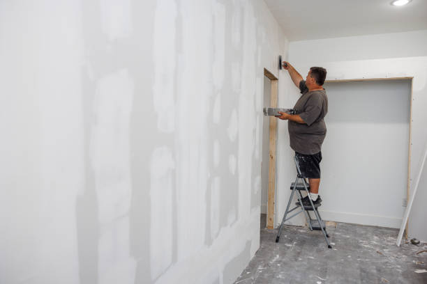 Best Asbestos and Lead Testing During Mold Inspection  in , NV
