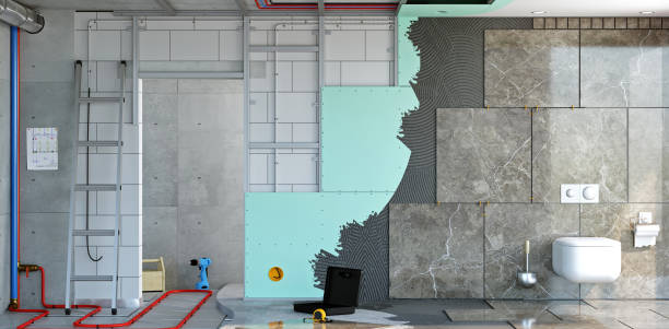 Best Post-Construction Mold Inspection  in , NV