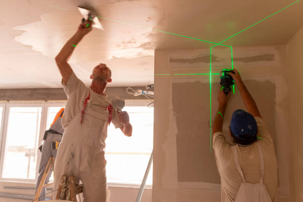 Best Attic Mold Removal  in , NV