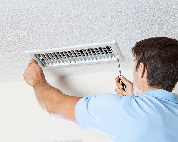 Best Mold Removal for HVAC Installations  in , NV