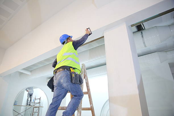 Best Forensic Mold Investigation  in , NV