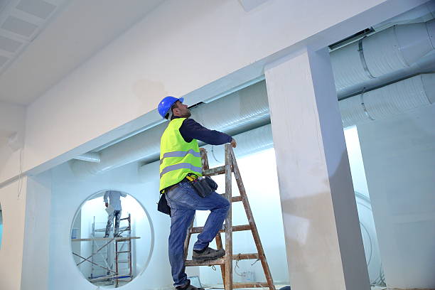 Best Biohazard Mold Removal  in , NV