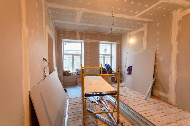  , NV Mold Removal Pros