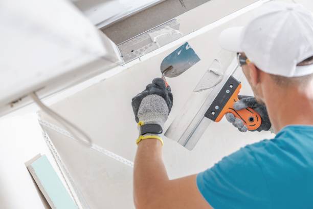 Best Mold Odor Removal Services  in , NV
